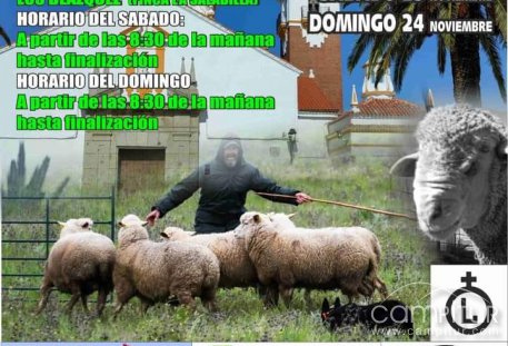 Los días 23 y 24 de noviembre, Los Blázquez acoge el Concurso de Perros de Pastoreo  