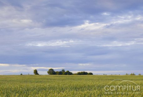Extremadura abre convocatoria para ayudas a jóvenes agricultores y modernización de explotaciones agrarias